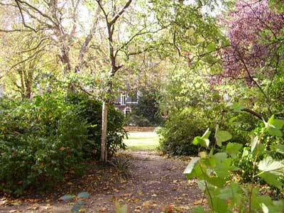 Hans Place