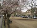 Cleaver Square