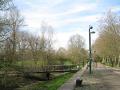 Russia Dock Woodland