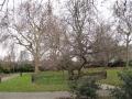 Sayes Court