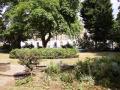 Barnsbury Square