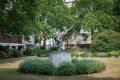 Cadogan Place north gardens