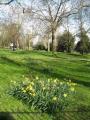 Kennington Park