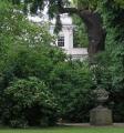 Stanley Crescent Garden