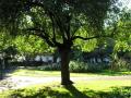 Wilmington Square Gardens