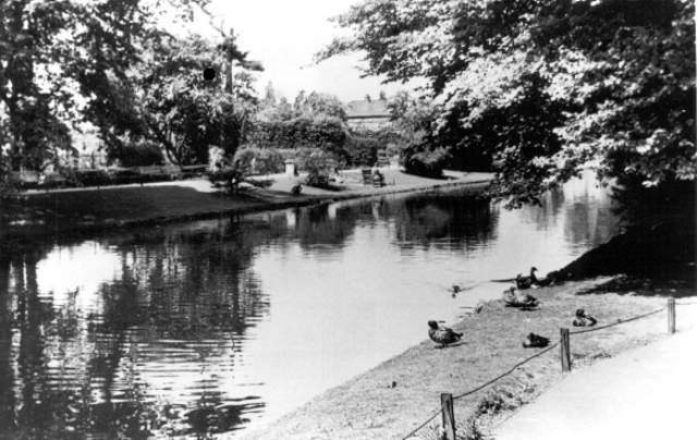 Valentines flamingos wallpaper Picture