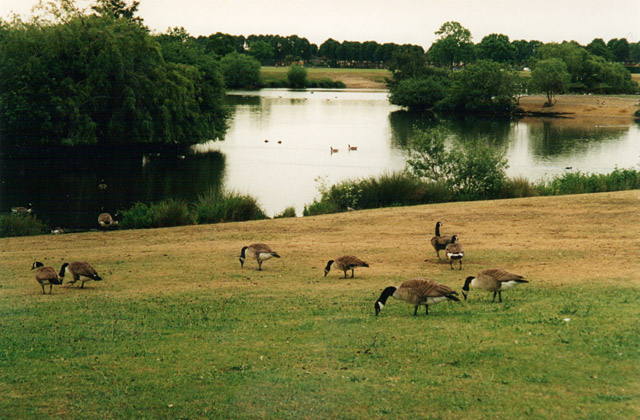 Mayesbrook Park