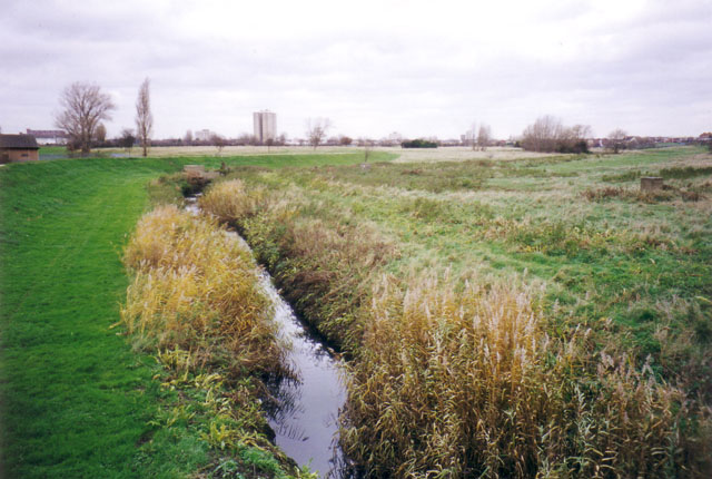 The Leys