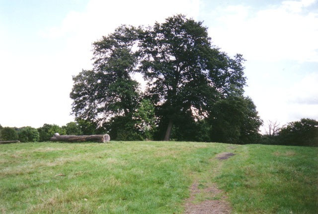 Arrandene Open Space