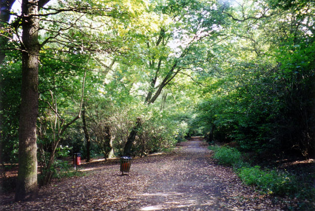 Big Wood, Hampstead Garden Suburb