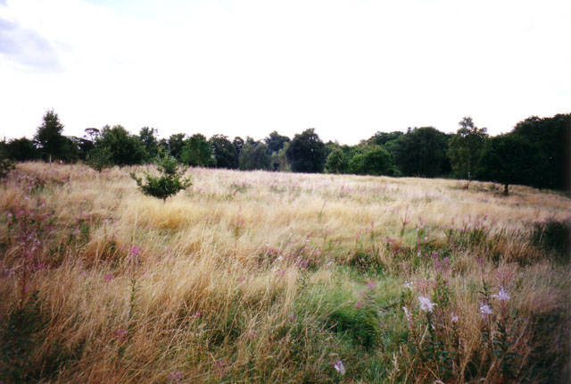 Monken Hadley Common