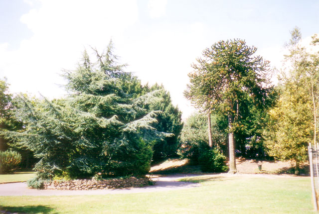 Ravenscroft Gardens
