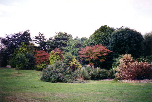 Rushgrove Park