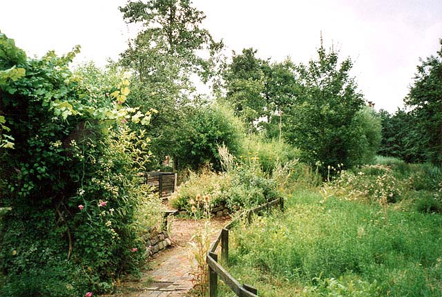 Camley Street Natural Park