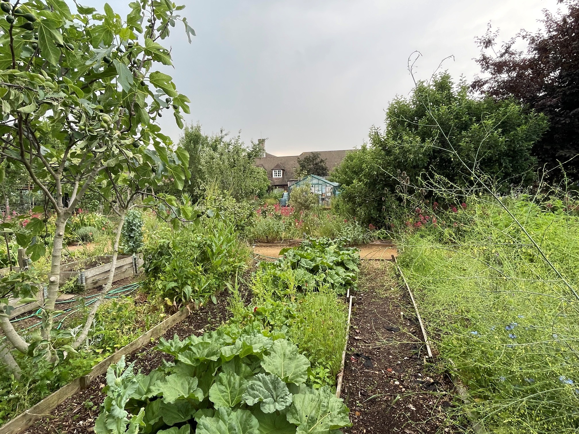 Phoenix Farm in White City