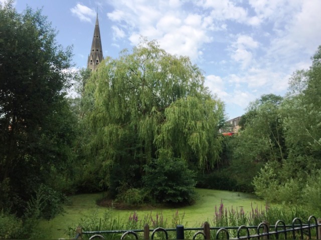 Bridge House Pond