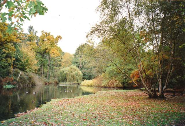 Bushy Park (including Upper Lodge Gardens) *