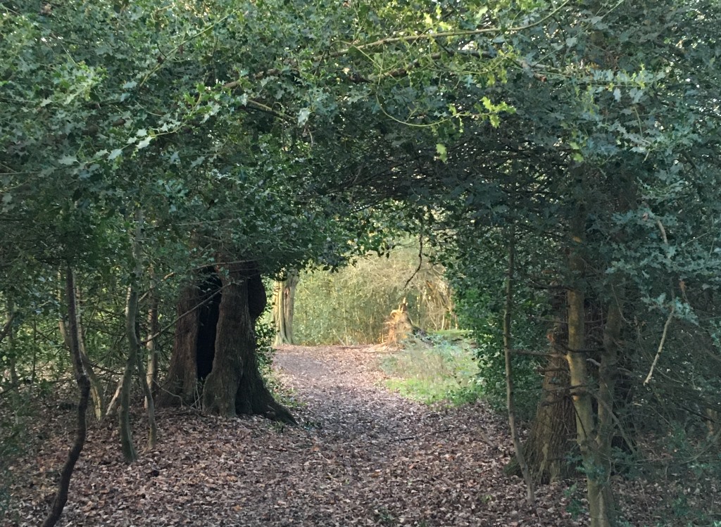 Epping Forest
