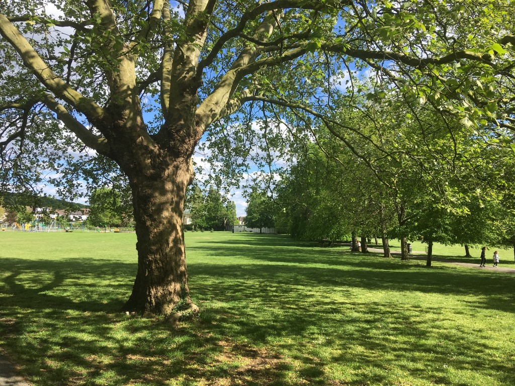 Memorial Park