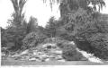 Rock Gardens, Avenue House, undated postcard. Courtesy of Barnet Local Studies & Archives