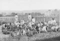 Central Square Gardening Class, 1916. Courtesy of Barnet Local Studies & Archives