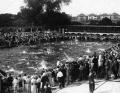 Open Air Pool, King Edward VII Park, Wembley, 1930s. Courtesy of Brent Archives
