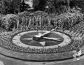 Floral Clock, Roundwood Park, 1958. Courtesy of Brent Archives