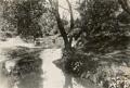 The River Brent, Tokyngton area, 1934. Courtesy of Brent Archives