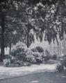 Bedford Square, June 1927. Courtesy of Camden Local Studies and Archives Centre
