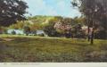 Highgate. Blossom on the Heath', postcard n.d.  Courtesy of Camden Local Studies and Archives Centre.