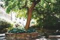 Drapers' Hall Garden, June 2003. Photo: S Williams