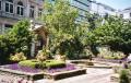 Drapers' Hall Garden, June 2003. Photo: S Williams