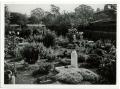 Blue Cross Pet Cemetery Charlton, 1942. Courtesy of Friends of the Pet Cemetery