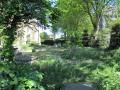 Garden Museum: front churchyard prior to new landscaping, May 2011. Photograph Sally Williams 