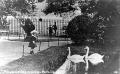 Valentines Park:'a quiet corner', c.1910. The Roman Urn is shown in the background on the left. Courtesy Redbridge Local Studies & Archives.