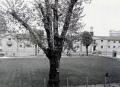 Beaumont Square, 1963. Courtesy Tower Hamlets Local History Library and Archives