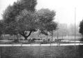 Victoria Park Cemetery when first laid out, photograph reproduced from Mrs Basil Holmes, 'The London Burial Grounds', London, 1896