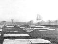 'Jewish Cemetery, Mile End' photograph reproduced from Mrs Basil Holmes, 'The London Burial Grounds', London, 1896