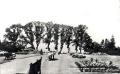 Mansfield Park, Chingford, postcard 1960s. Courtesy of London Borough of Waltham Forest, Vestry House Museum http://www.walthamforest.gov.uk/vestry-house