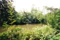 Brent Park, Lake with heron, July 2000. Photo S Williams