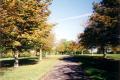 Edgwarebury Park, October 2000. Photo: S Williams