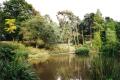 Golders Hill Park, Water Garden, July 2000. Photo S Williams