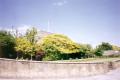 Brent Town Hall, June 2001. Photo: S Williams