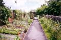 Roe Green Walled Garden in Roe Green Park, June 2001. Photo: S Williams