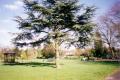 Roundwood Park, March 2001. Photo: S Williams