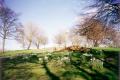 Roundwood Park, March 2001. Photo: S Williams