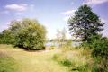 Welsh Harp Open Space and Reservoir, June 2001. Photo: S Williams