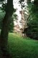 Branch Hill Woodland, August 2002. Photo: S Williams