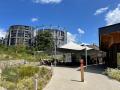 Camley Street Natural Park: new entrance and Visitor Centre, June 2022. Photograph Sally Williams