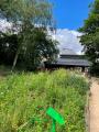 Camley Street Natural Park, June 2022. Photograph Sally Williams
